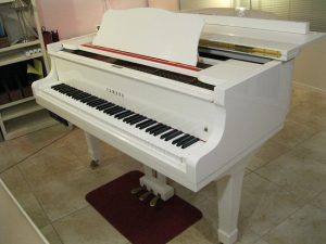 Wes Flinn RPT - 1983 Yamaha G2 Grand Piano